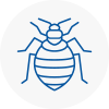 Bed Bug Extermination In Radcliffe On Trent