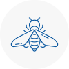 Bee Nest Removal Radcliffe On Trent