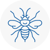 Radcliffe On Trent Hornet Nest Removals