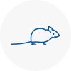 Mice Exterminators In Radcliffe On Trent
