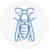 Radcliffe On Trent Wasp Nest Removal